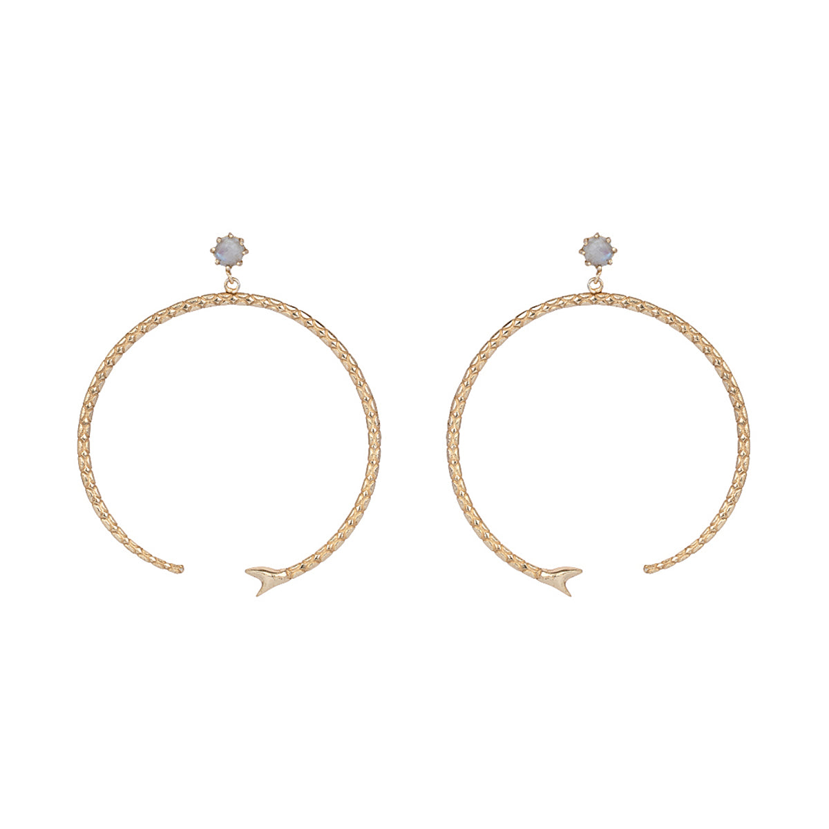 Darva Earrings Classic Hoops - ZEWAR Jewelry